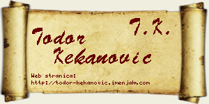 Todor Kekanović vizit kartica